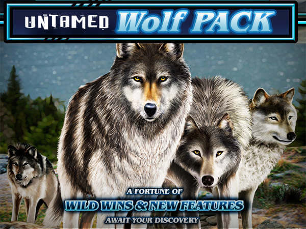 Untamed Wolf Pack in SCR888 Online Casino